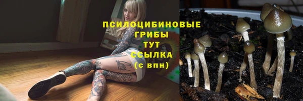 соль курить ск Алексин
