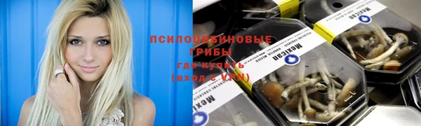 соль курить ск Алексин